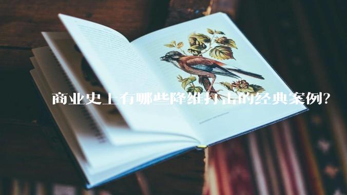 商业史上有哪些降维打击的经典案例？