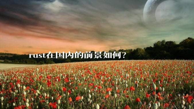 rust在国内的前景如何？