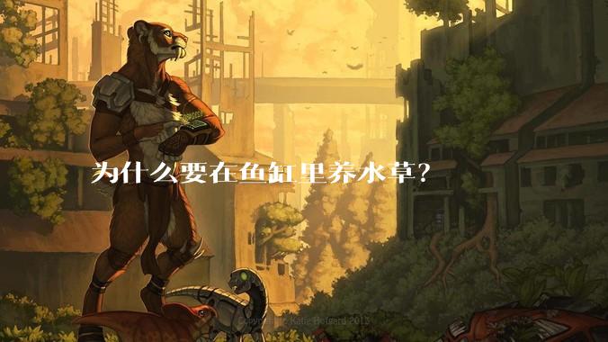 为什么要在鱼缸里养水草？