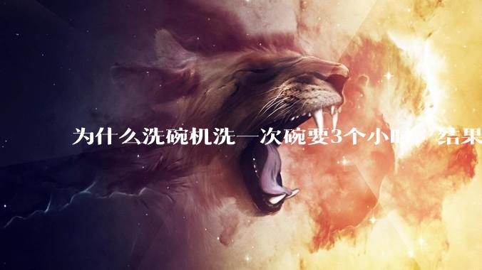 为什么洗碗机洗一次碗要3个小时，结果还是那么多年轻人决定要买一台放在家里？